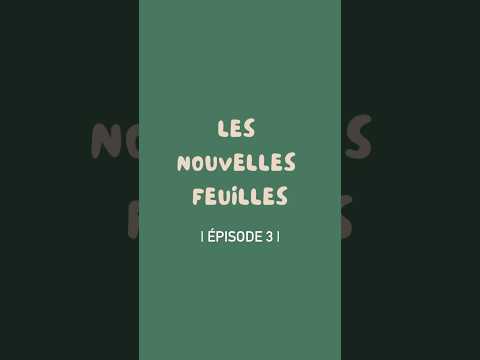 Absolument rien qui me fait plus plaisir que des nouvelles feuilles 💚🤩🪴