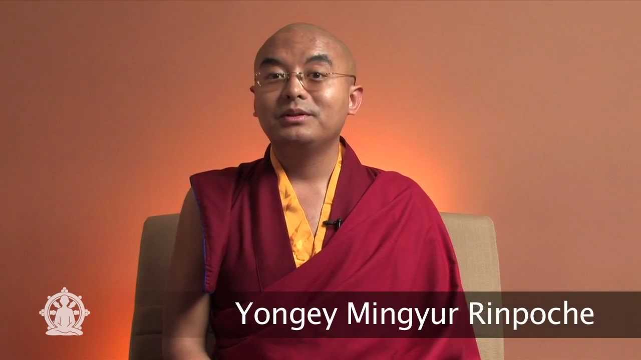 The Joy Of Living Yongey Mingyur Rinpoche Pdf