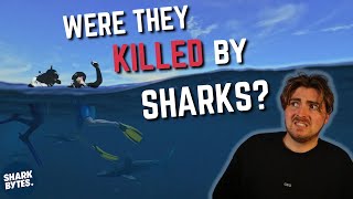 The (True) Mysterious Story Behind 'Open Water' by SHARK BYTES 100,567 views 6 months ago 13 minutes, 50 seconds