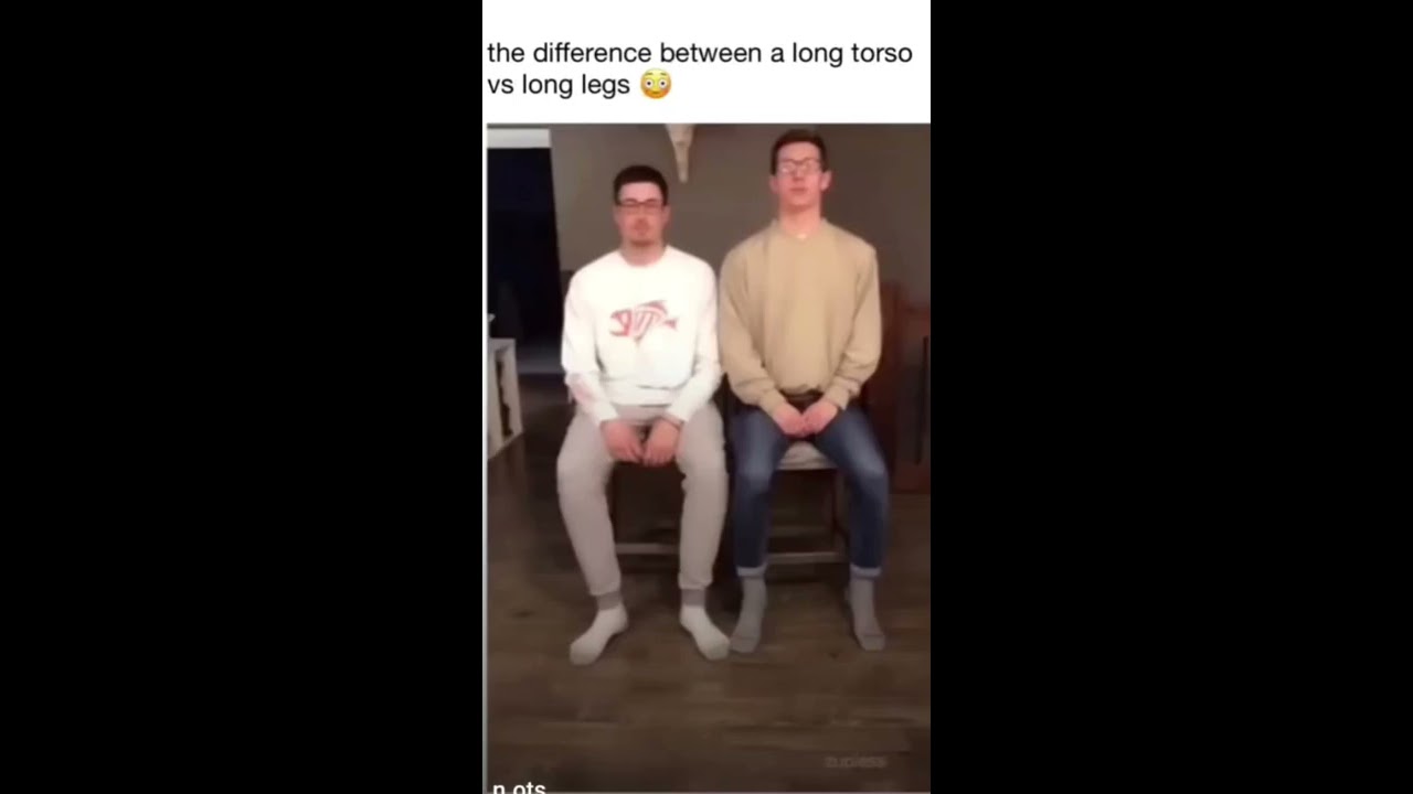 Long Torso Vs Legs