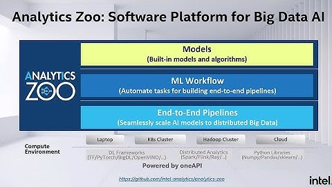 Intel Analytics Zoo: Software Platform for Big Data AI