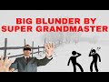 Vidit Gujrathi Made a huge blunder in Tata Steel Chess 2022 round 12 | Vidit Gujrathi Vs Mamedyarov
