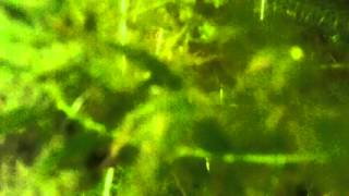 HS-60-002 - Date Time: 23/04/2016 14:33:05 - Water Temperature:  °C
