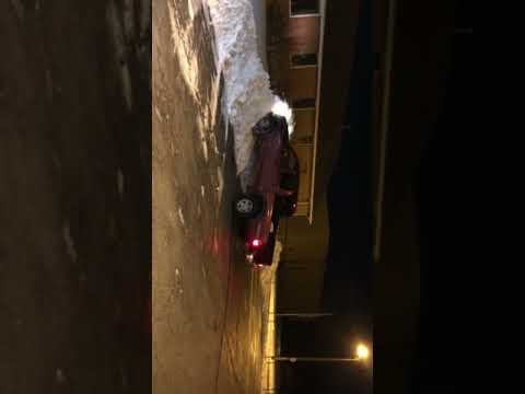 Love the snow!