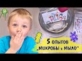 5 опытов для детей о микробах. Почему нужно мыть руки с мылом?