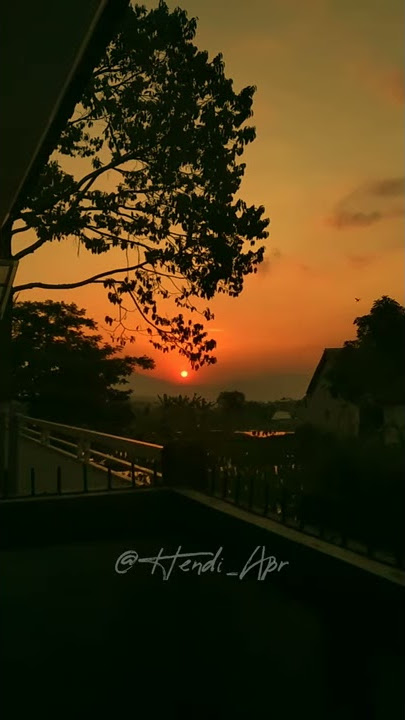 Video Pendek Status WA