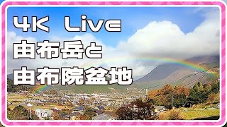 ゆふいんライブカメラchの配信のサムネイル画像