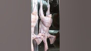 Revolutionize Your Poultry Processing with Eruis