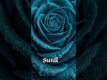 #comment#your#name#boy#friends#foryou#video#new#love#names#shorts#viral#trending#youtubeshorts#share