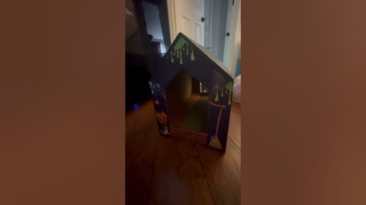 Halloween Cat House YouTube
