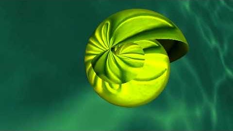 True-World System dynamics software : shell evolution