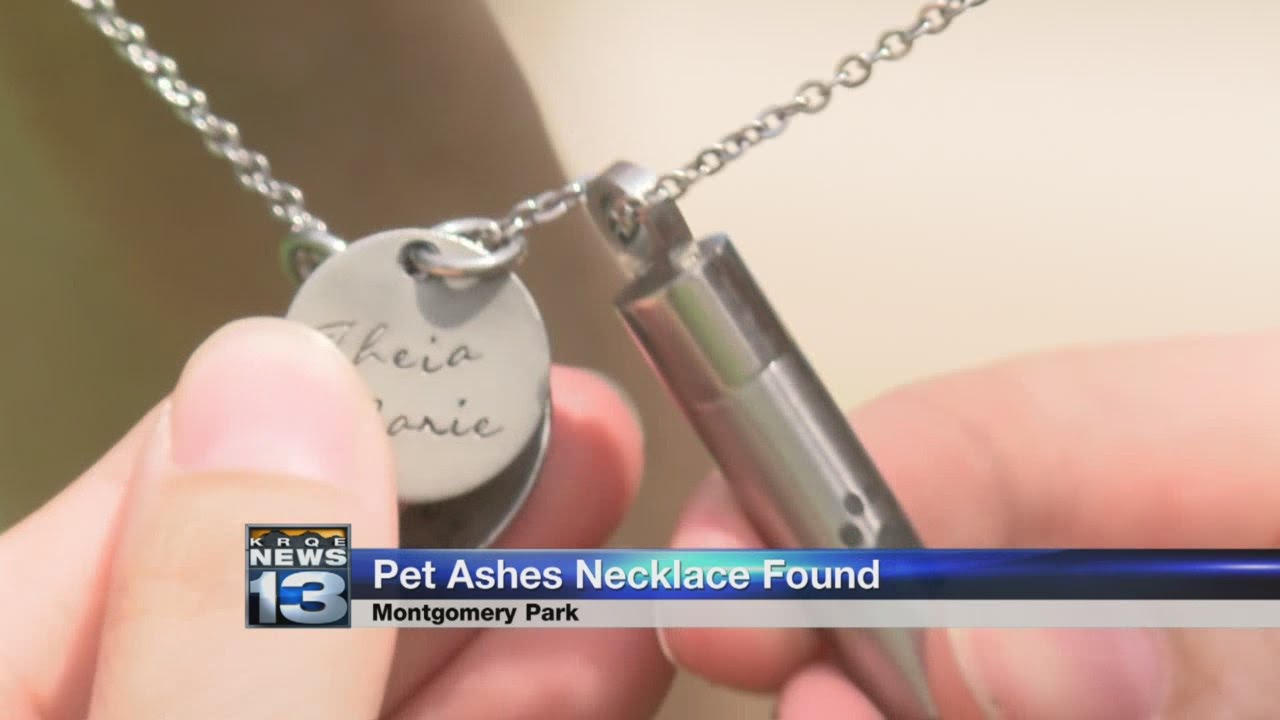 ash necklace for dogs