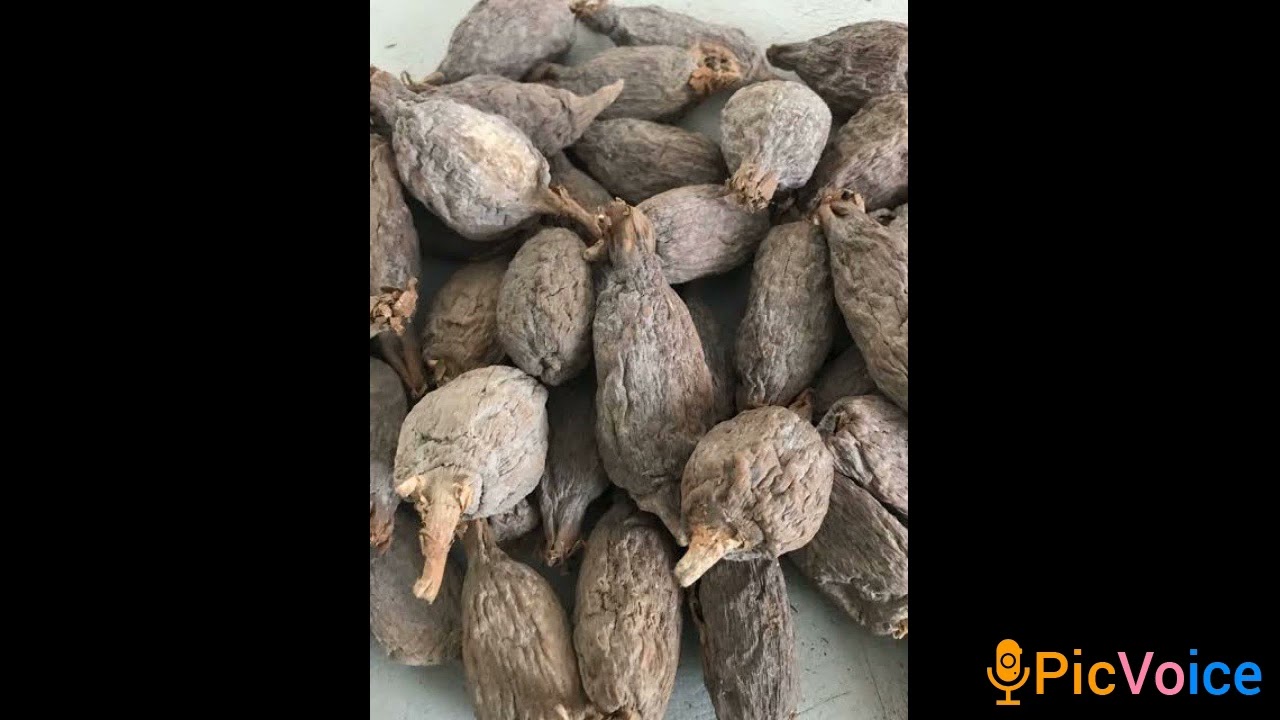 health benefits of alligator pepper