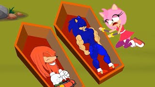 Cartoon Sonic Funeral Knuckles - Amy Sad - Knuckles Who Find The True Love Of Their Life - Kim 100