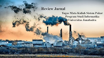 REVIEW ARTIKEL JURNAL ( TUGAS MATA KULIAH SISTEM PAKAR)