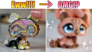 LPS Crusty to Clean Makeover #1  Crouching Cat