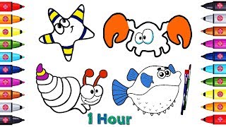 Painting Sea Animals Coloring Page Book for Kids 1 Hour Coloring s For Children