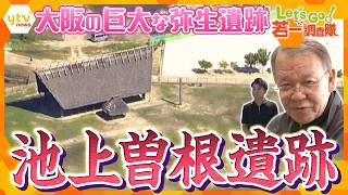[Wakaichi Investigation Team] Rewriting Yayoi History!? The Mysterious Massive Ruins of Ikegami-S...