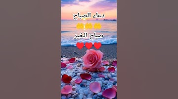 دعاء الصباح 🤲 صباح الخير ♥️ صباحيات ♥️ حالات واتس 🤲 أذكار الصباح 🤲 #صباح_الخير #دعاء_الصباح