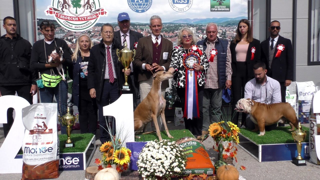 CAC KD GORNJI MILANOVAC 2022