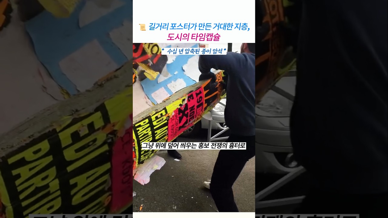 도심 속 코르크 나무 수확? 프랑스 전단지 제거 작업