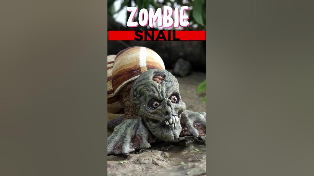 snail parasite eyestalk YouTube