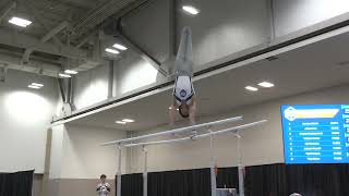 Dean Murray Parallel Bars 2026 Elite Team Cup