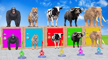 Long Slide Game With Cow Elephant Gorilla Hippopotamus Tiger - 3d Animal Game - Funny 3d Animals