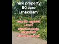 #50acrelandforsale#50ഏക്കർറബ്ബർ#തോട്ടംവിൽപ്പനയ്ക്ക്ഉടനെവിളിക്കും