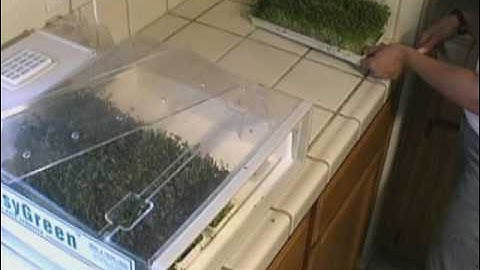 Easygreen Instructions