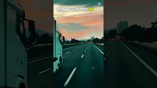 Shortz Del Cazzo Per Sognatori Idioti