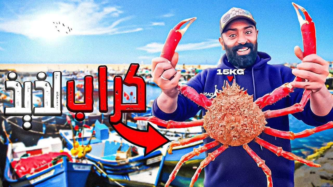 مول الشفنجة يوم كامل في مرسة سيدي رحال 🦈 انا وصديقي lhjaouj وطبخ الكراب الملك السعادة...😲