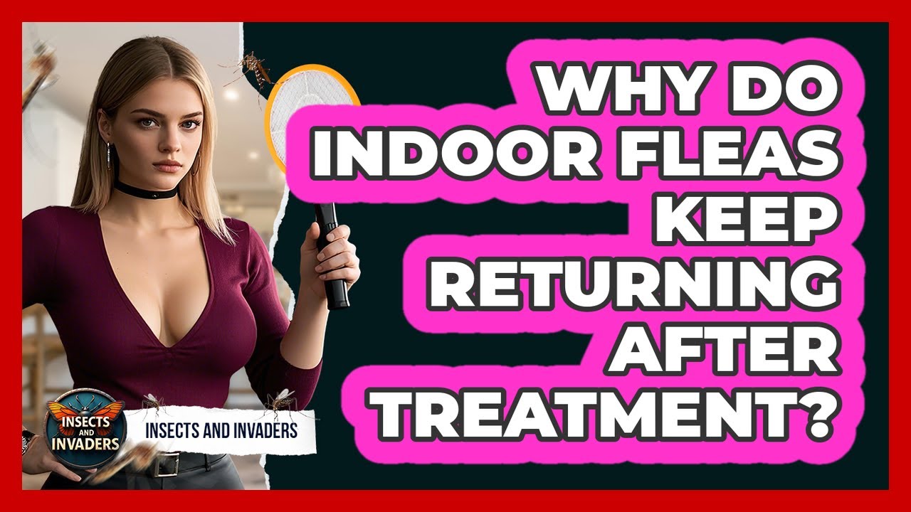 Why Do Indoor Fleas Keep Returning After Treatment? - Insects and Invaders
