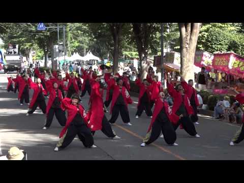 朝霞翔舞／税務署通（2nd）／関八州よさこいフェスタ2014（本祭二日目）／第31回彩夏祭（朝霞市民まつり）
