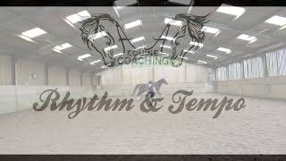 AA Equine -  Lesson 1 -  Basic Equitation Terminolgy