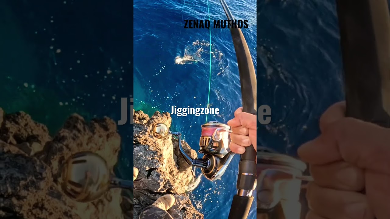 Shore jigging | Μεγάλος κυνηγός πίσω από πιασμένη Ντάσκα #shorejigging #mancing #zenaq #ψάρεμα