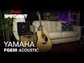 Yamaha FG830 Acoustic | feat.  Andy Winston