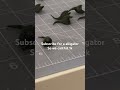 Sub for an alligator #shorts #3d #3dprint #diy #design #cool #useful #subscribe