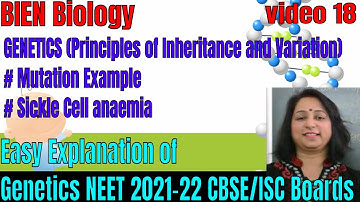 GENETICS|Principle of Inheritance and Variation|Mutation Examples | NEET 2021-22 |CBSE/ISC|By BIEN