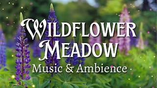 Enchanted Wildflower Meadow🪻✨| DnD Ambience - Long Rest | Serene, Soothing, Gentle