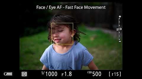 Nikon Z6 and Z7 Eye and Animal Detection AF Performance