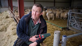 Gareth Owen  Blade Shearing for Baavet