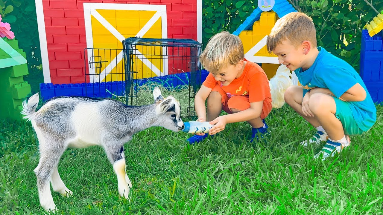 Дети строят домик на дереве из Лего!