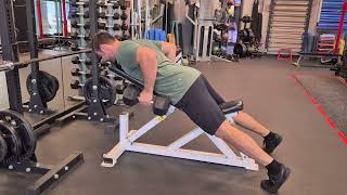 Isometric Dumbbell Row on Bench