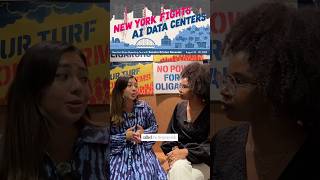 Chat with Senator Kristen Gonzalez about her bill to put a pause on Ai Data Center development in NY