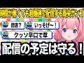 どんなに時間が無くても「配信する」という義理は果たす周央サンゴ【にじさんじ/切り抜き】