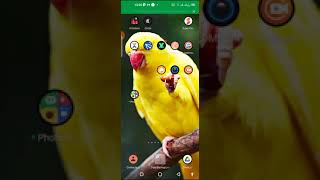 comment espionner le téléphone de sa copine ou de ses enfants screenshot 4