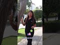 💡 ¿PROBLEMAS DE ILUMINACIÓN EN TU PROYECTO? ESTE ES EL ERROR ⚠️  #luminariasolar