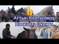 Ноокат Жылкы Базары Укмуш Кызыды 03.10.21