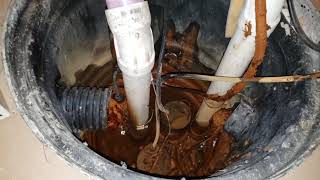 Installing a Everbilt Vertical Float Switch for Sump Pumps | #sumppump #everbilt #replacement